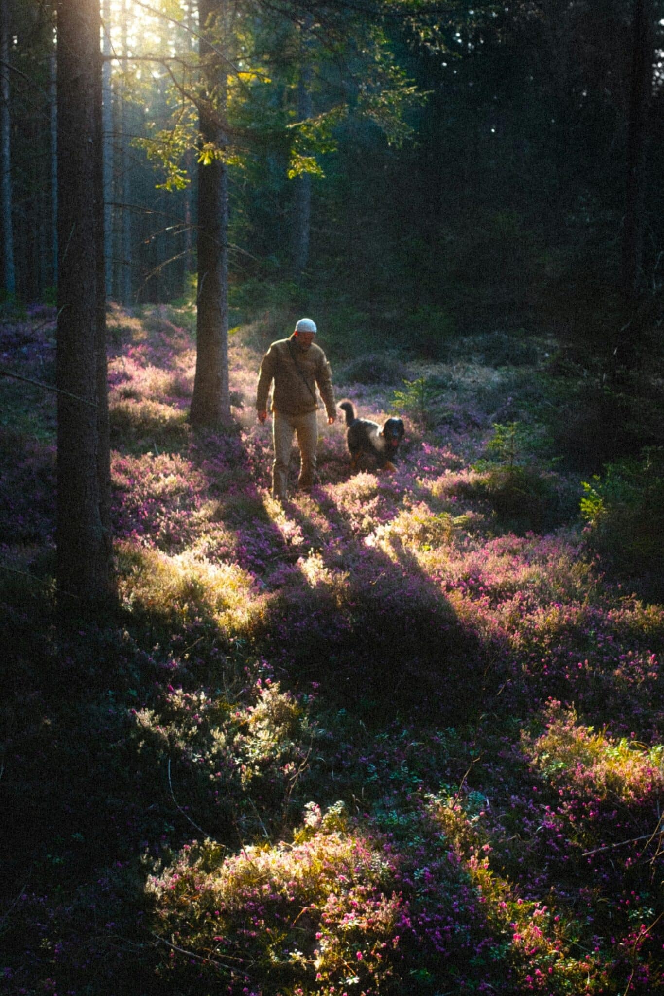owner and dog in the woods